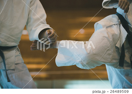 martial artist 26489509