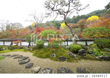 秋の日本庭園 26489517