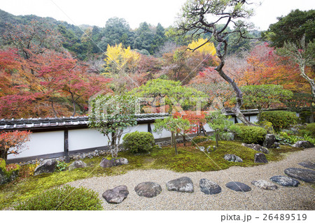 秋の日本庭園 26489519