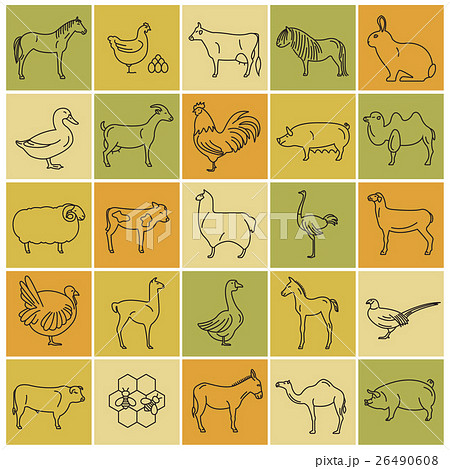Farm animal thin line collection. 25 icon set. Farm animal thin line collection. 25 icon set. 26490608