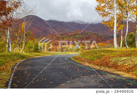 View Beautiful Autumn in Japan 26490926