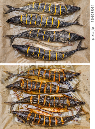 Preparing mackerel 26493344
