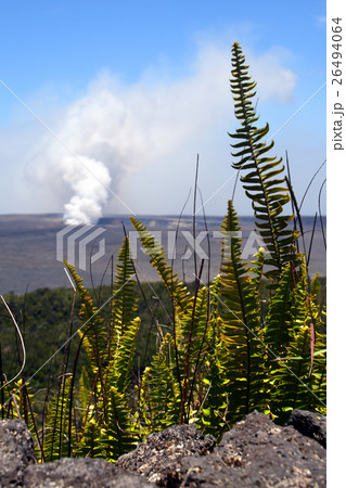Hawaii Volcanoes National Park, USA.. 26494064