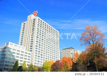 霞が関高層ビルと紅葉の日比谷公園 霞が関高層ビルと紅葉の日比谷公園 26494531