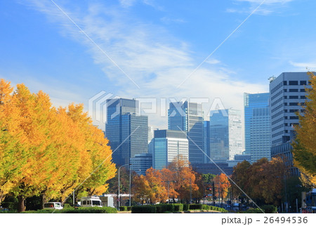 国会前から見た丸の内高層ビル群 26494536