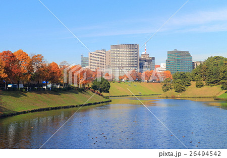 桜田濠の紅葉 26494542