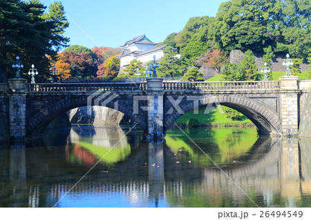 正面石橋と伏見櫓の紅葉 26494549