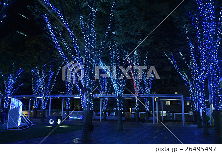 けやき広場のイルミネーション 26495497