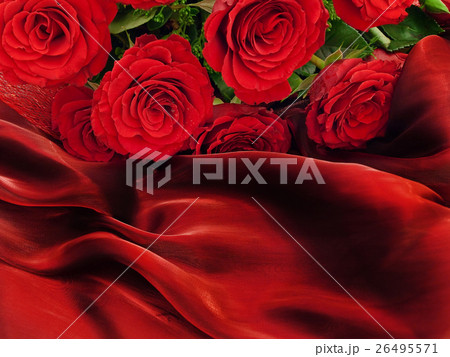Roses 26495571