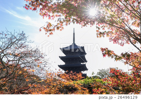 秋の東寺 26496129