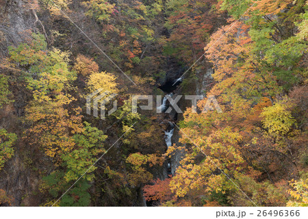 作並の宮城峡の紅葉 26496366