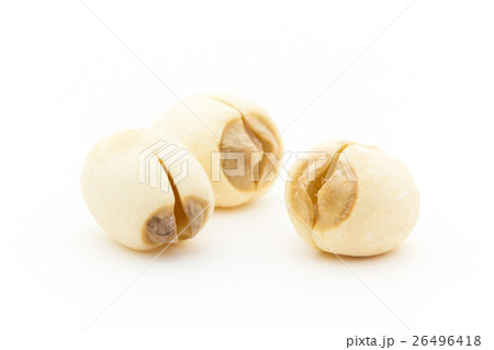 蓮の種子: Lotus seed 26496418