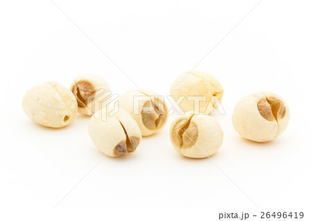 蓮の種子: Lotus seed 26496419