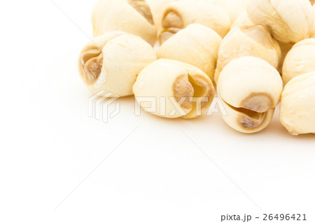 蓮の種子: Lotus seed 26496421