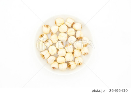 蓮の種子: Lotus seed 蓮の種子: Lotus seed 26496430