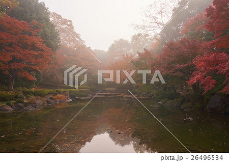霧の紅葉した日本庭園 霧の紅葉した日本庭園 26496534
