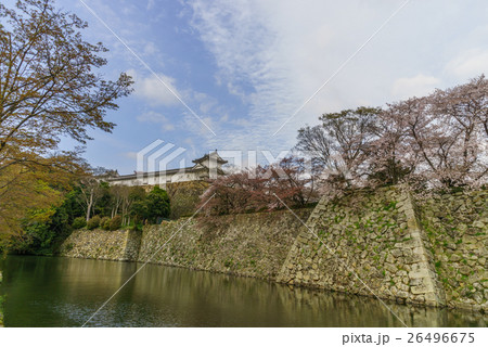 春の姫路城 ワの櫓の風景 26496675