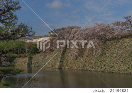 春の姫路城 ワの櫓の風景 26496825