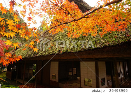 九年庵 紅葉 九年庵 紅葉 26498996