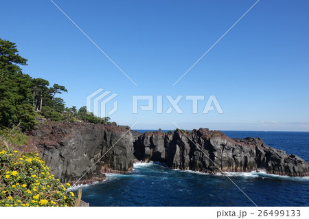 城ヶ崎 伊豆　 26499133