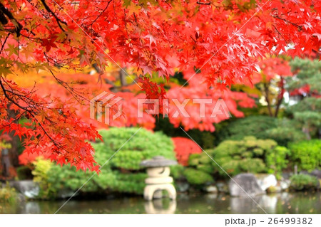 もみじ公園(山形県) 26499382