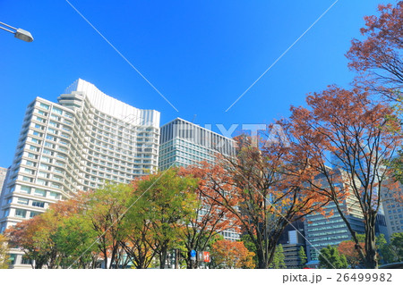 和田倉噴水公園の紅葉とビル群 26499982