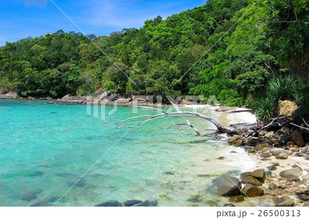 サピ島 26500313