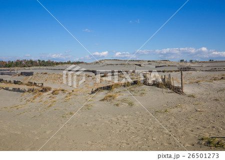 中田島砂丘 26501273