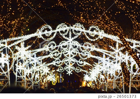 イルミネーション 26501373