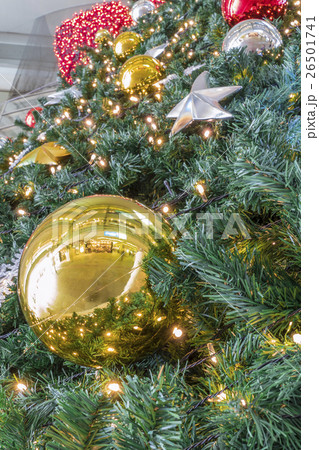 クリスマスツリー 26501741