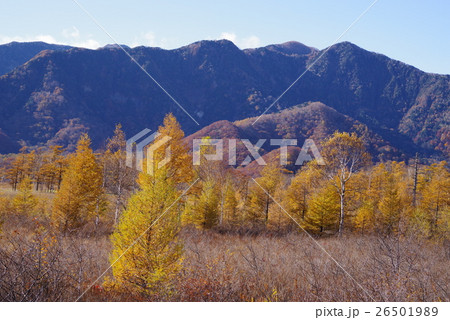 日光の紅葉 日光の紅葉 26501989