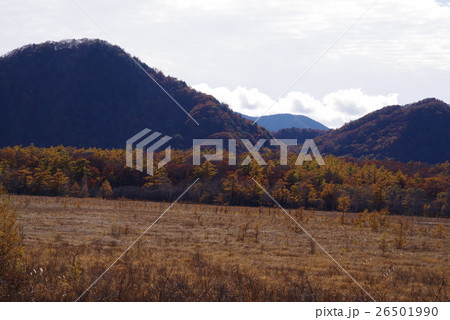 日光の紅葉 26501990