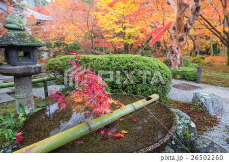 圓光寺の水琴窟 26502260