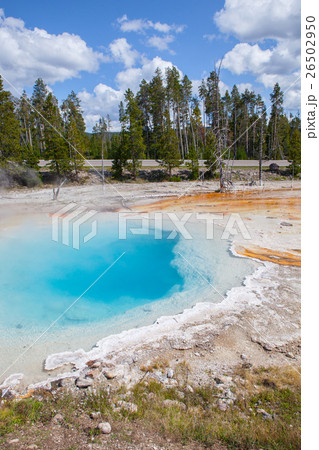Deep green blue geyser pool Deep green blue geyser pool 26502950