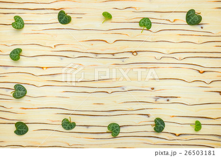abstract leaves Ceropegia Woodii on wood texture 26503181