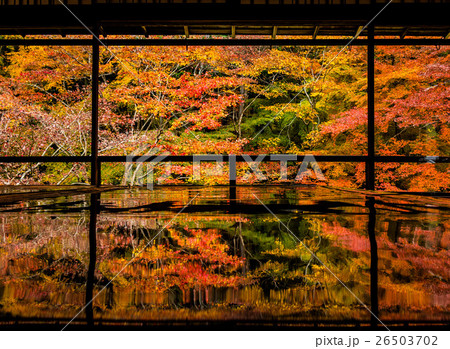 瑠璃光院 瑠璃光院 26503702