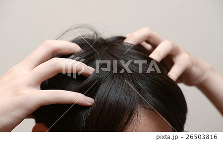 薄毛 26503816