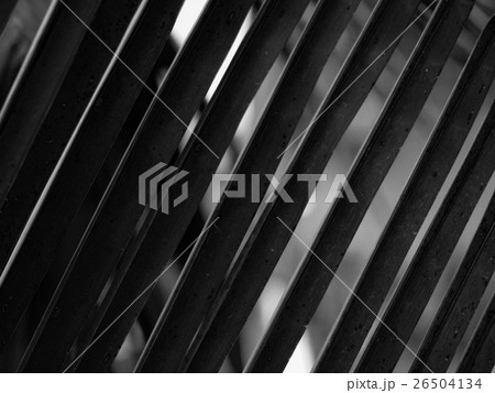 COCONUT LEAF IN PATTERN 26504134