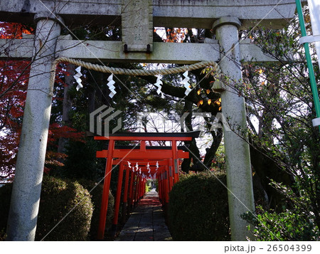 尾曳稲荷神社の紅葉 26504399