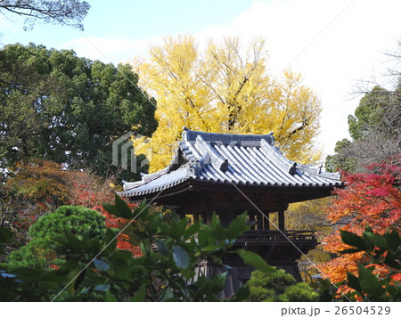 鑁阿寺(ばんなじ)の紅葉 鑁阿寺(ばんなじ)の紅葉 26504529