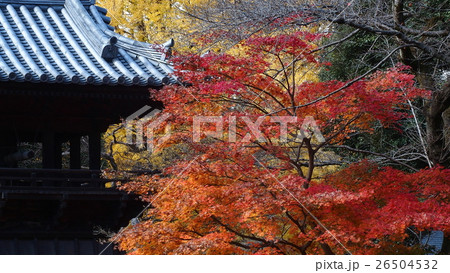 鑁阿寺(ばんなじ)の紅葉 鑁阿寺(ばんなじ)の紅葉 26504532