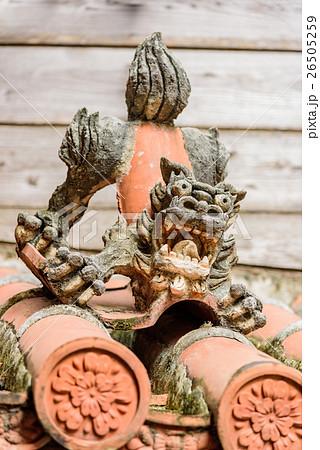 シーサー 26505259