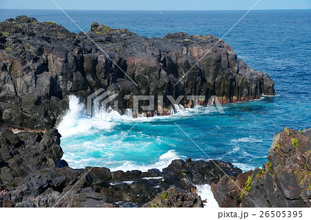 城ヶ崎海岸 26505395