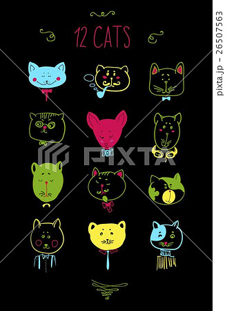 Set of cats heads. Face Vector illustration 26507563