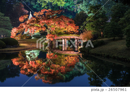 六義園 紅葉と大名庭園のライトアップ 六義園 紅葉と大名庭園のライトアップ 26507961