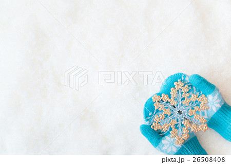 Christmas Xmas Winter Holiday Concept 26508408