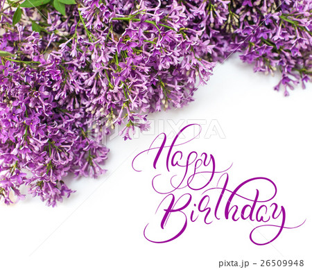 Beautiful lilac branch isolated on white Beautiful lilac branch isolated on white 26509948