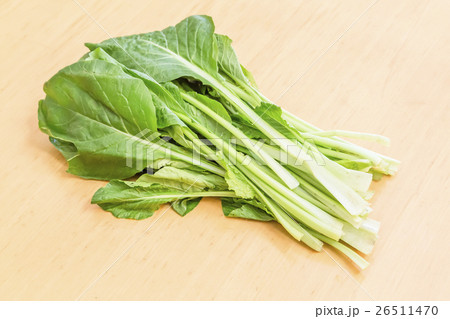 小松菜 小松菜 26511470