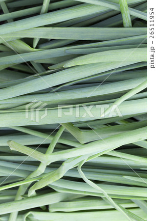 green feathers bow green feathers bow 26511954