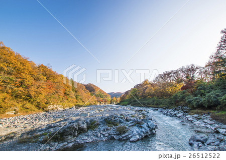 長瀞の紅葉 長瀞の紅葉 26512522